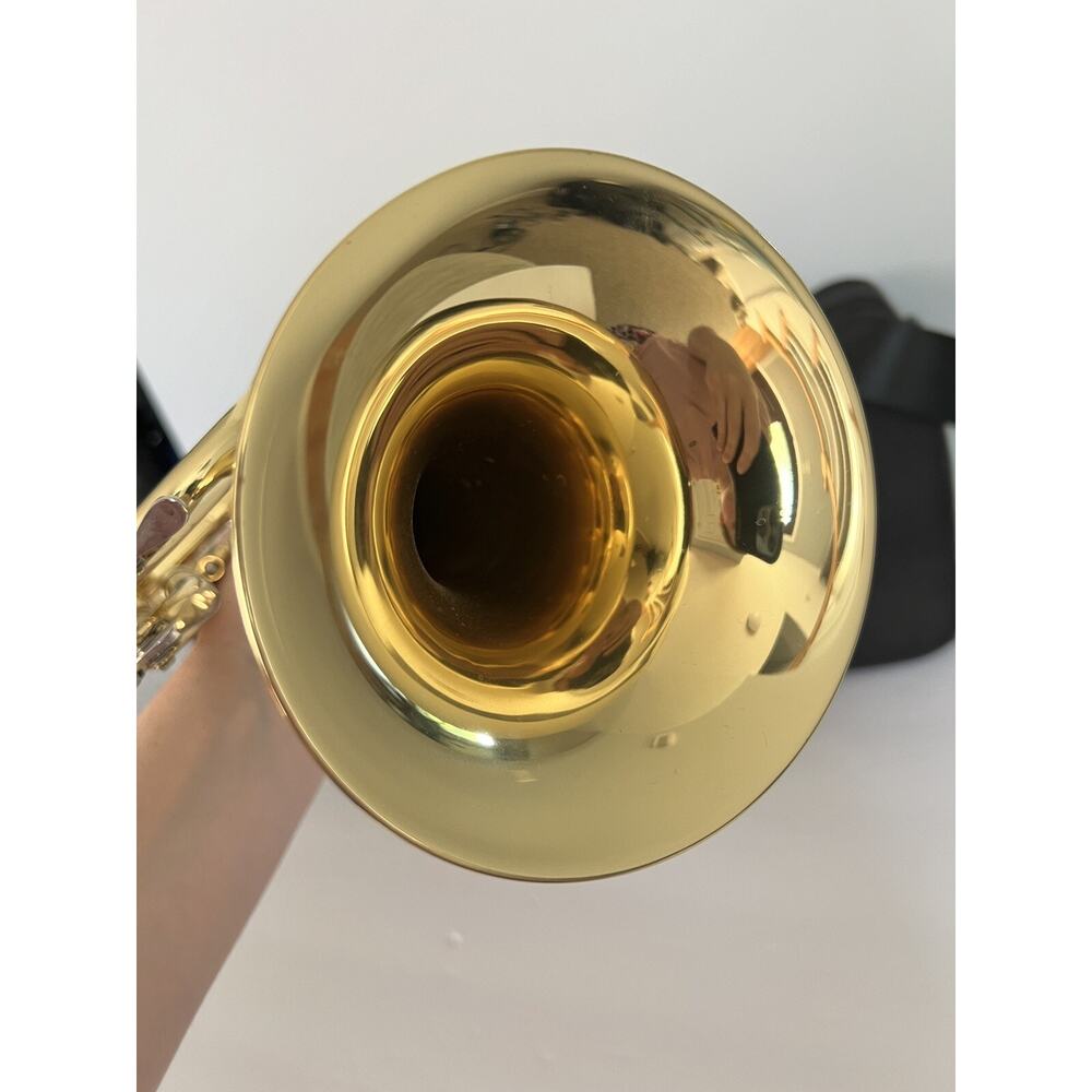 Verve TRV-100 Trumpet With Black Hard Nylon Case - Picture 7 of 16